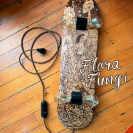 Flora & Fungi SkateLight by Mark Allen Lee, One Of A Kind Design