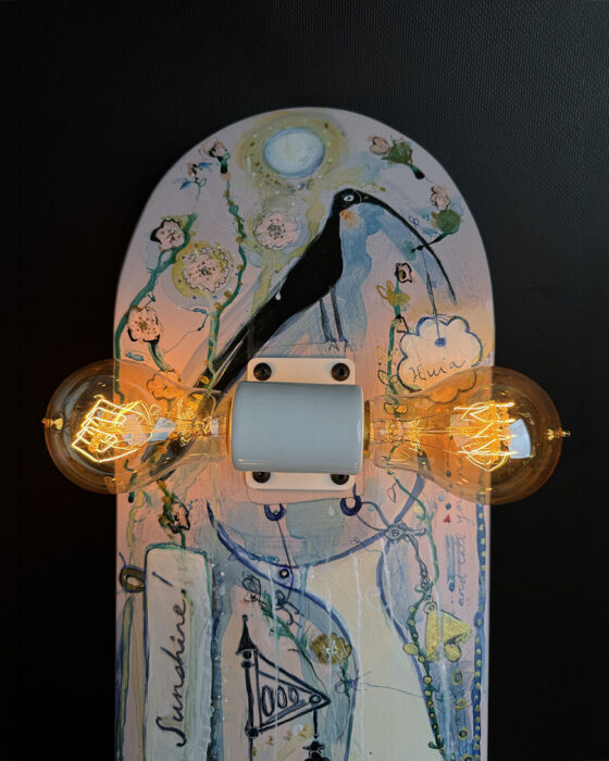 'Shine Your Light Sunshine SkateLight' by Mark Allen Lee and Janie Nott